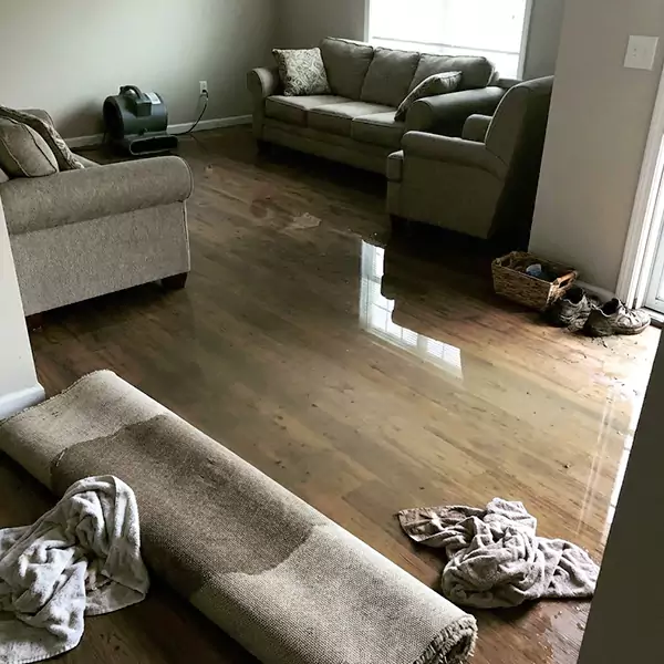 Flood Restoration in Quincy, MA