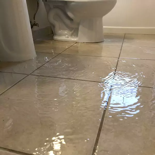 Expert Flooded Bathroom Restoration in Quincy, MA 