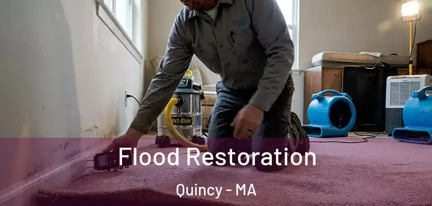  Flood Restoration Quincy - MA