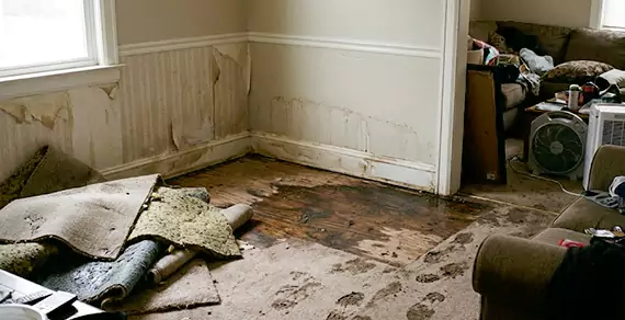 Why Choose Quincy Water Damage For Water Damage Restoration Services in Quincy, MA?