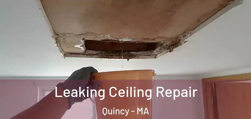  Leaking Ceiling Repair Quincy - MA
