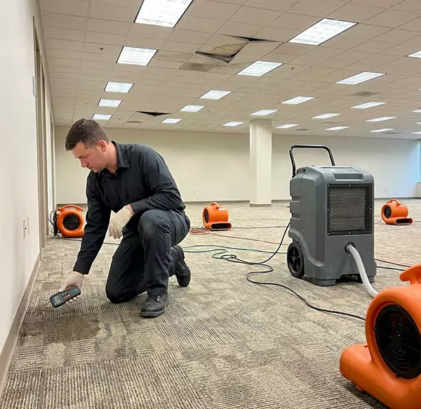 Why Businesses Choose Quincy Water Damage for Commercial Water Damage in Quincy, MA?