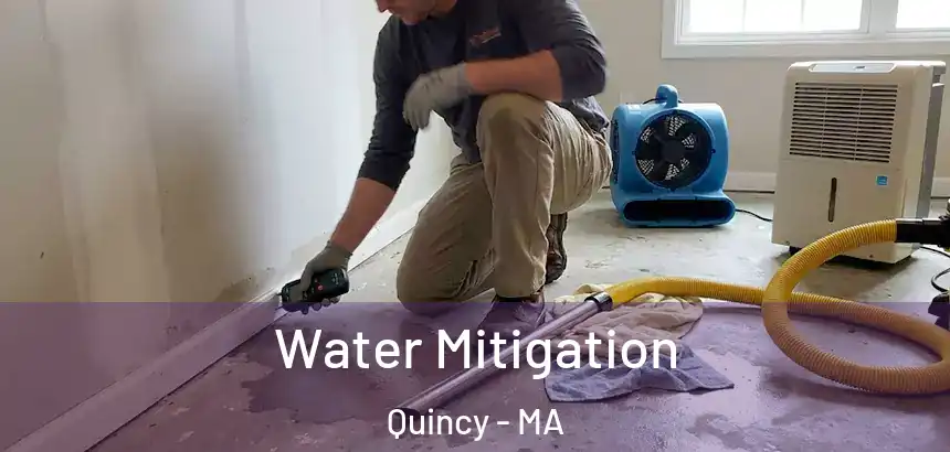  Water Mitigation Quincy - MA