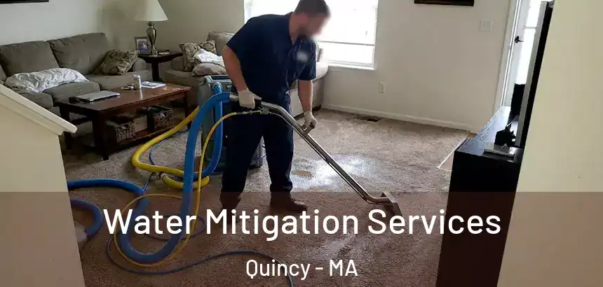  Water Mitigation Services Quincy - MA